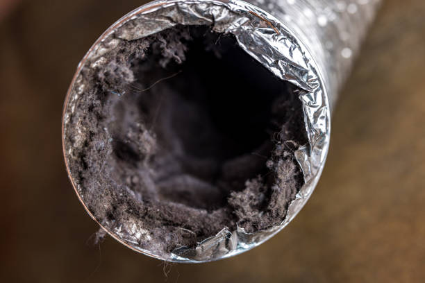 Best Professional Duct Cleaning Services  in Ranson, WV