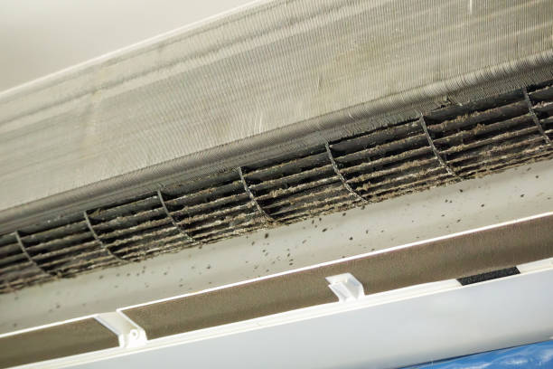 Best HVAC Duct Inspection Services  in Ranson, WV